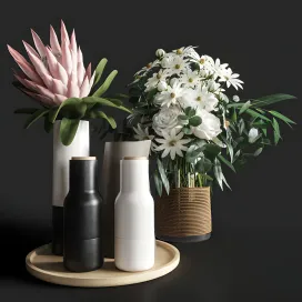 Flower protea roses